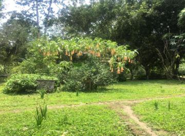 Hacienda-Quinta de 2 habitaciones, Santo Domingo · Hermosa Finca de Venta, con Cultivos y Produccion Platanos, Ganadera