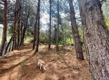 Terreno / Lote , Cuenca · Hermosos Terrenos en Venta