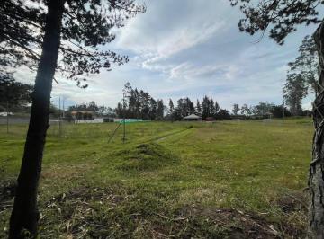 Terreno / Lote · 12654m² · Puembo Gran Oportunidad de Venta - Terreno con Excelente Ubicacion en Puembo - $66 X m² - *mm