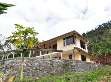 Hacienda-Quinta de 3 habitaciones, Los Bancos · Vendo Finca con Casa y Cultivos Pacto