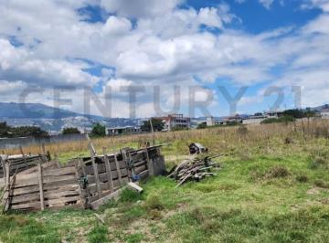 Terreno / Lote · 10627m² · Terreno de Oportunidad Sector Calderon