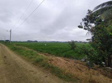 Terreno 1 5300 m2 · Vendo Terreno Samborondon Lotizacion El Buijo,5300 m²