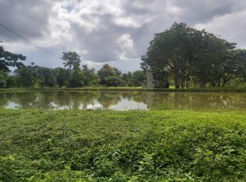 Terreno / Lote de 6 habitaciones, Guayaquil · Venta 30 Ha Km. 24 Chongon - daular (Colinda con Terreno del Futuro Nuevo Aeropuerto - Guayaquil)
