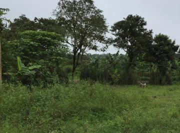 Terreno / Lote , Manta · Vendo Terreno en El Aromo en La Carretera Ruta del Spondylus - Manabi