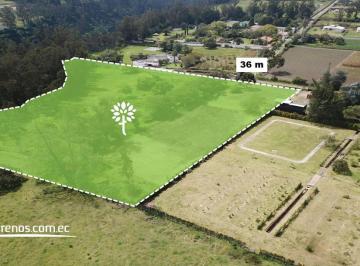 Terreno / Lote · 17000m² · Terreno de Venta Puembo 17.172 m² Sector Rincón de Puembo