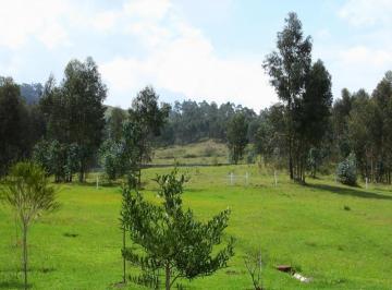 Hacienda-Quinta de 4 habitaciones, Quito · Conocoto, Miranda, Vendo Quinta 10 Hect. de Terreno. Futuro Inmobiliario.
