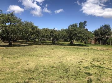 Terreno / Lote , Quito · Venta Terreno 4.553 m² Av Universitaria, La Morita, Tumbaco