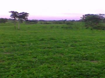 Terreno / Lote , Manta · Terreno de Venta en Manta El Aromo