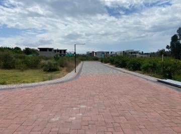 Terreno / Lote , Quito · Puembo Lotizacion Privada Bifamiliar