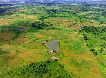 Hacienda-Quinta , Isidro Ayora · Venta de 105 Ha Isidro Ayora - Mariuxi Rugel