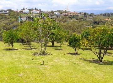 Casa · 218m² · 4 Habitaciones · 6 Estacionamientos · Casa con Piscina en Venta Tumbaco 2.200 m² Terreno