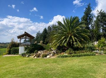 Hacienda-Quinta de 11 habitaciones, Quito · Rento Hermosa Quinta Para Todo Giro de Negocio