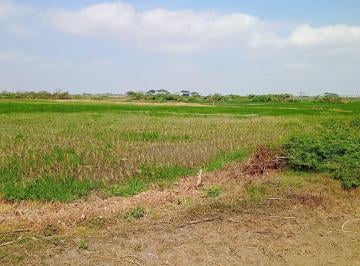 Terreno / Lote , Guayaquil · En Venta Terreno en Samborondon - Hipódromo Buijo - C. Garcia