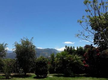 EXCELENTE VISTA · Vendo Linda Casa en Miravalle, 3 Dorm., Jardines, Excelente Opción!