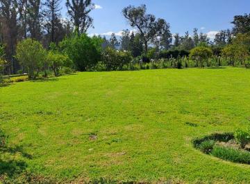 Terreno / Lote de 3 habitaciones, Quito · En Puembo. Propiedad Ideal. Se Puede Canjear con Otra Propiedad Mas Pequeña