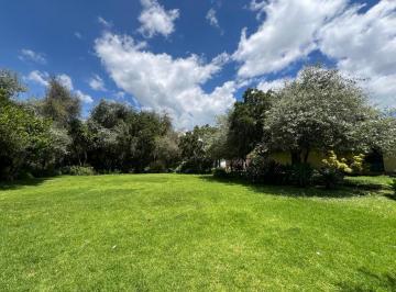 Terreno / Lote · 986m² · Mv - Pifo en Venta Casa Quinta Ideal Para Eventos, con Lote de Terreno de 9.107 m²