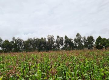 Terreno / Lote · 3447m² · Terreno en Venta en Malchingui, Pedro Moncayo, Norte de Guayllabamba