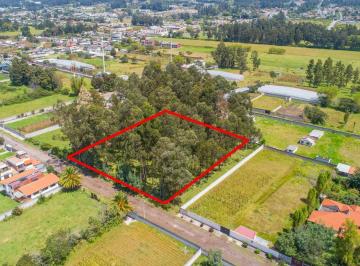 Terreno / Lote · 5031m² · Terreno en Venta 384 m², Buenos Aires - Sector San Isidro del Inca