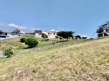Terreno / Lote , Daule · Terreno 600 m² Urb. Condado de Vicolinci