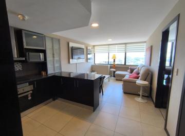 Suite de 1 habitación, Guayaquil · Suite Amoblada de Alquiler en Puerto Santa Ana, Torres Bellini.