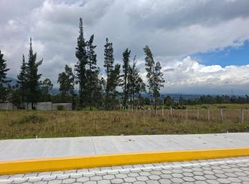 Terreno / Lote , Quito · Terreno 1000 m² Pifo El Inga Alto Servicios y Clima de Quinta - $40000