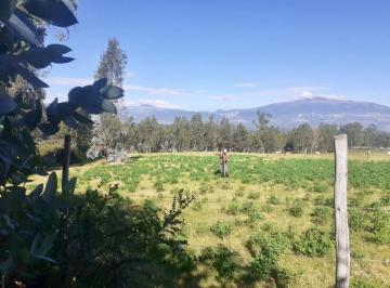 Terreno / Lote , Quito · Terreno en La Tola Ideal Para Proyecto