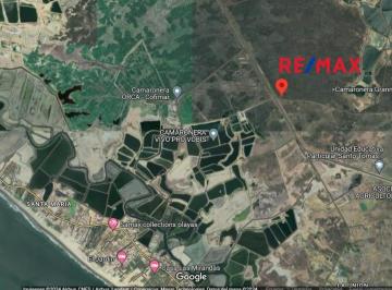 Hacienda-Quinta , Playas · En Venta Terreno Agricola de 240 Ha en Playas Posorja - R. Hurtado