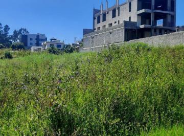 Terreno / Lote · 32000m² · Hermoso Terreno de Venta Atencion Constructores.