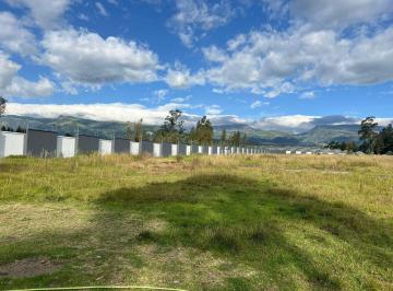 Terreno / Lote · 2528m² · Mv - Sector Pifo, en Venta Lote de Terreno 2528.45 m², Dentro de Urbanizacion