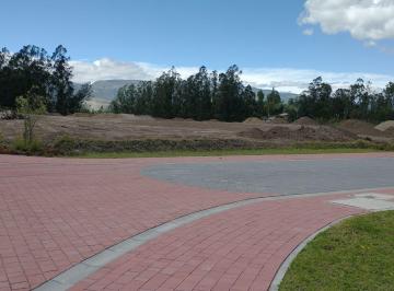 Terreno / Lote , Quito · Terrenos en La Recta de Puembo a Pifo a Unos 350 m de La Interoceanica