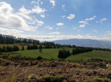 Terreno / Lote , Pedro Moncayo · Vendo Para Caballos m² en un Sector Privilegiado en Tabacundo