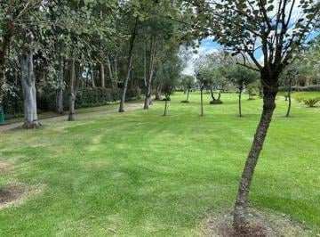 Terreno / Lote · 95m² · 4 Habitaciones · 60 Estacionamientos · Hermoso Terreno en Puembo - en Venta