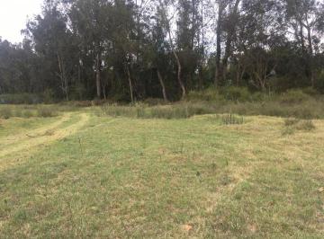Terreno / Lote , Quito · Vendo Terreno Plano en Puembo – Sector Chiche Obraje