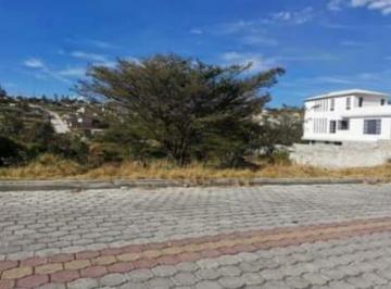 Terreno / Lote · 1m² · 5 Estacionamientos · Vendo Terreno en Llano Grande Las Tolas 988 m