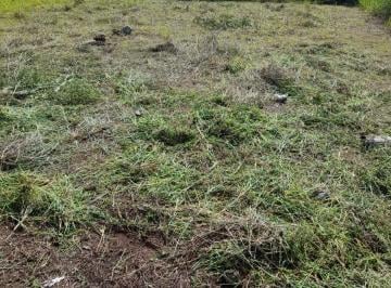Terreno / Lote · 96m² · Venta Terreno en Mi Lote (Vm)