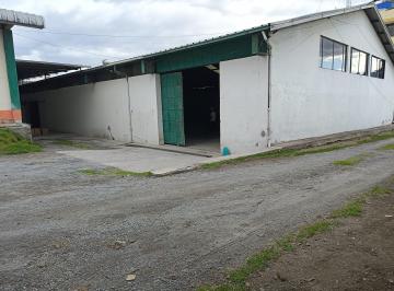 Bodega-Galpón , Quito · Alquiler Galpón Bodega con Oficinas Sector Norte de Quito Carapungo Renta
