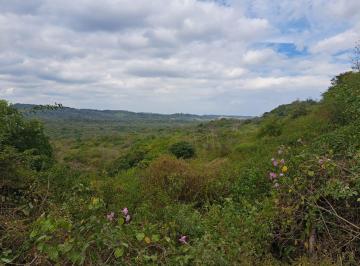 Terreno / Lote , Guayaquil · En Venta Terreno Agrícola o Para Proyectos - Via a La Costa Km 65 - C. Garcia