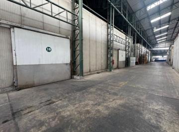 Bodega-Galpón , Durán · Alquiler Cámaras de Frío 232 m² - Vía Durán Boliche Km 3.5