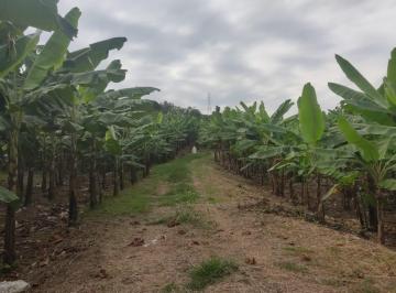 Hacienda-Quinta de 9 habitaciones, Guayaquil · Venta Finca 120 Hasector Limoncito, Via a La Costa, Km. 30 Al Pie de La Vía