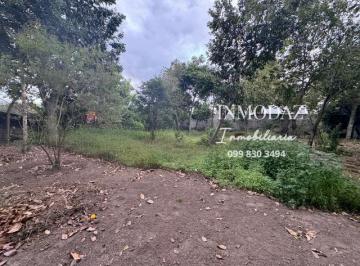 Terreno / Lote , Quito · Vendo Terreno en Cumbayá Sector de San Juan