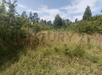Terreno / Lote · 1494m² · Hermoso Terreno Plano de 1494 m² en La Urbanización Ex La Sallanos