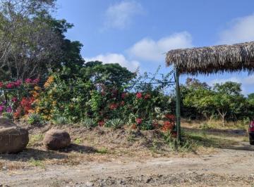Terreno / Lote , Guayaquil · Terreno en Venta Via a La Costa con Pitahaya Km 36