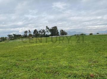 Terreno / Lote · 20000m² · Venta Oportunidad Hermoso Terreno Ubicaco en Tababela