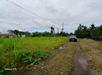 Terreno / Lote , Orellana · Terreno de Venta en El Canton Sacha - Francisco de Orellana