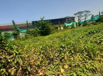 Terreno / Lote , Guayaquil · Venta Terreno Comercial, 859 m², Av Las Lomas, Cdla. Urdesa Central