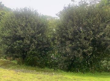 Terreno / Lote · 32000m² · Venta de Terreno - El Aromo Sector Liguiqui - ¡Inversión en Paraíso Natural!