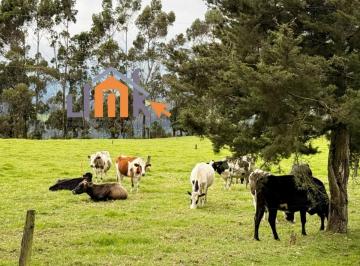 Hacienda-Quinta de 12 habitaciones, Quito · Finca Agroturistica Sector Rumipamba Los Chillos
