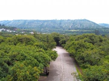Terreno / Lote de 12 habitaciones, Quito · Se Vende Hacienda Guayllabamba, 17 Ha 170.000 m² Varias Casas