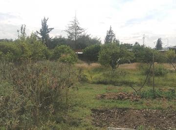 Terreno / Lote , Quito · Terreno Plano 6500 m² Sector Santa Rosa en Tumbaco