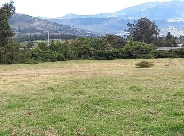 VENTA TERRENO PLANO 10.510 m2 SECTOR LIBERTAD DE PIFO, REDONDEL DE PALUGO · Terreno Plano de 10510 m² en Venta en Pifo